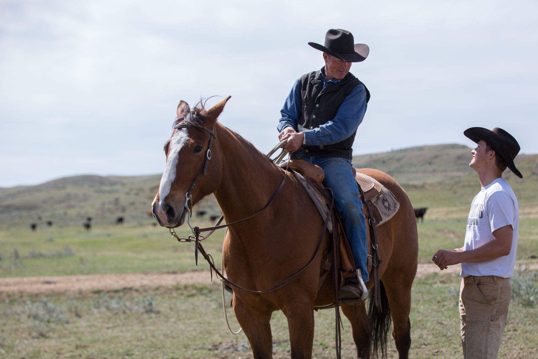 Sheridan Cattle Branding